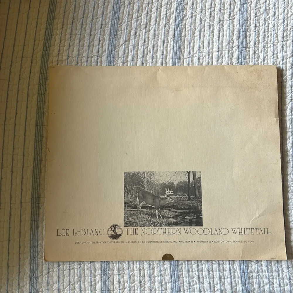 Lee Le Blanc 1981 Northern Woodland Whitetail Stamp, Print, Signed, Numbered - Picture 8 of 12